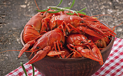 吃小龙虾会长胖吗 小龙虾的热量高吗 吃小龙虾要注意什么
