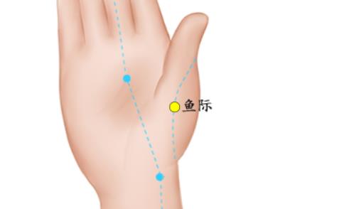 养生穴位 养生保健穴位 秋季养生穴位