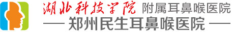 郑州logo.jpg