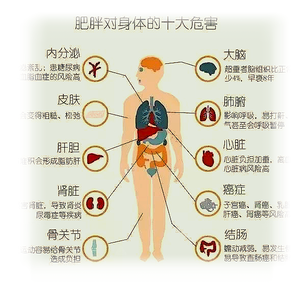 食创新生！饮食问题或将促进健康食品行业“爆发增长”