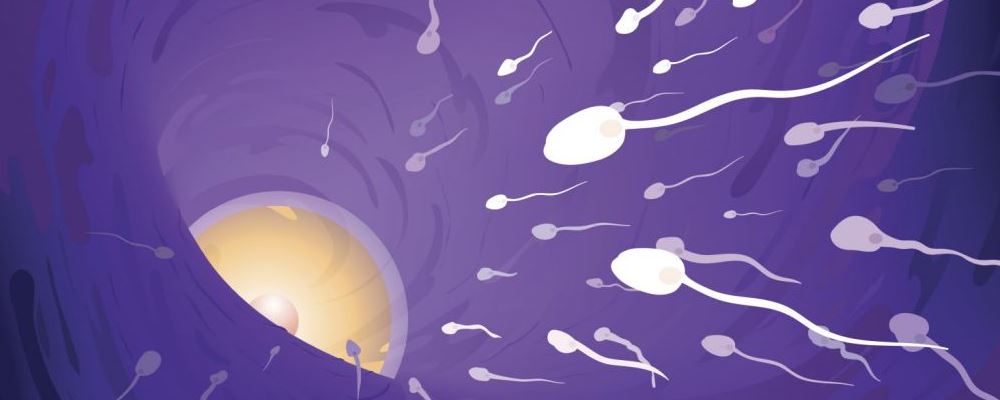 卵巢过度刺激综合征 多次捐卵生命垂危 卵子捐多了有什么危害