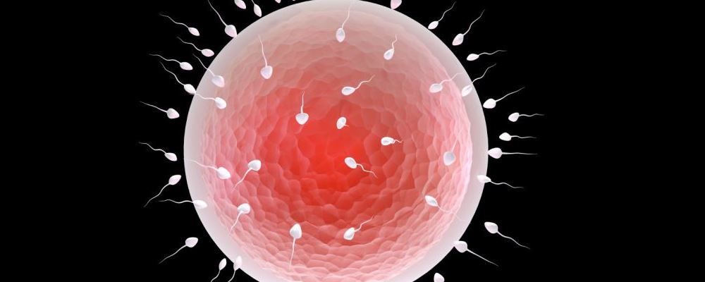 卵巢过度刺激综合征 多次捐卵生命垂危 卵子捐多了有什么危害