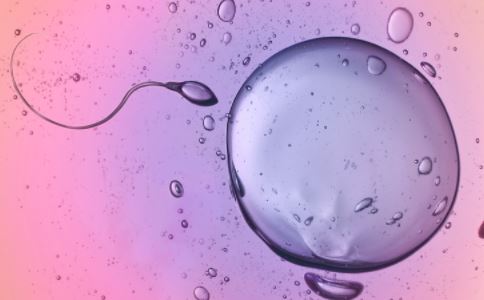 为什么会胚胎着床失败 胚胎着床失败的原因是什么 胚胎着床需要几天