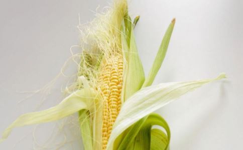玉米须的功效与作用 玉米须有什么作用 玉米须的好处是什么